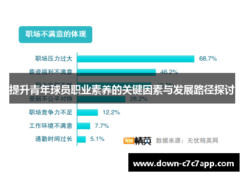 提升青年球员职业素养的关键因素与发展路径探讨