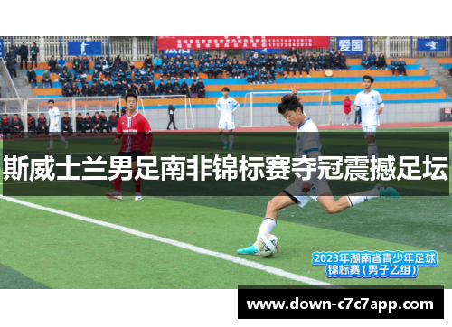 斯威士兰男足南非锦标赛夺冠震撼足坛