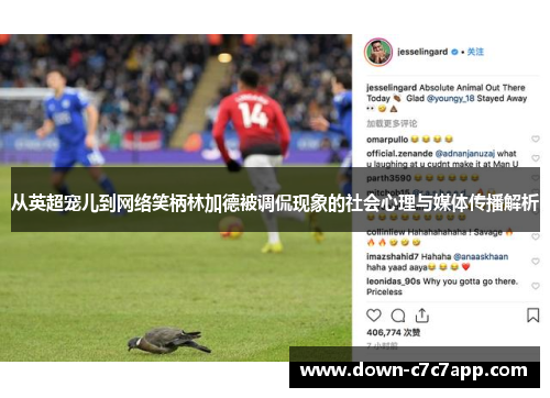 从英超宠儿到网络笑柄林加德被调侃现象的社会心理与媒体传播解析