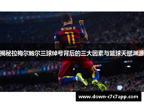 揭秘拉梅尔鲍尔三球绰号背后的三大因素与篮球天赋渊源 揭秘拉梅尔鲍尔三球绰号背后的三大因素与篮球天赋渊源