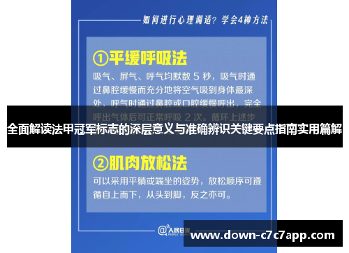 全面解读法甲冠军标志的深层意义与准确辨识关键要点指南实用篇解