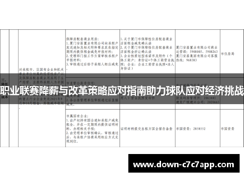 职业联赛降薪与改革策略应对指南助力球队应对经济挑战 职业联赛降薪与改革策略应对指南助力球队应对经济挑战